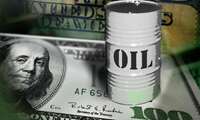 Iran Eyes $41b Oil Income by March 2017: Min.